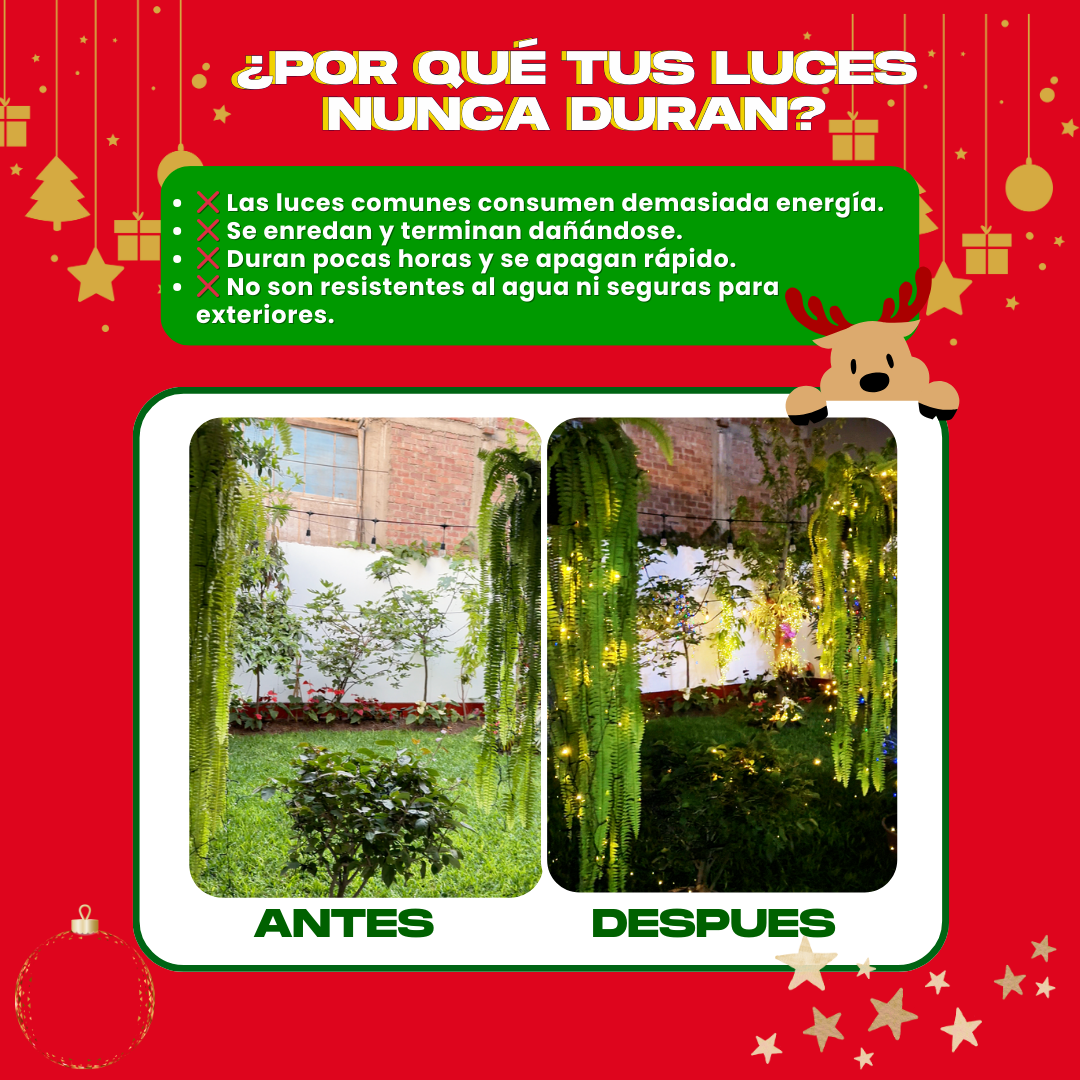 2 LUCES SOLARES DORADO (20 M) + REGALO GRATIS - L0230