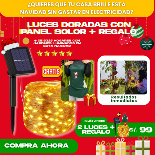 2 LUCES SOLARES DORADO (20 M) + REGALO GRATIS - L0230