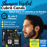 Dexe Shampoo Anticanas - Negro (Pack x 10 Sachets)+ GRATIS PEINE para teñir