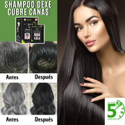 SHAMPOO DEXE ANTICANAS COLOR NEGRO Y CASTAÑO OSCURO (10 Sachets) + GRATIS PEINE para teñir