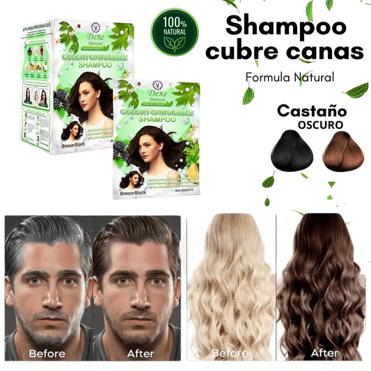 SHAMPOO DEXE ANTICANAS COLOR CASTAÑO OSCURO (10 Sachets) + GRATIS PEINE para teñir - L0159