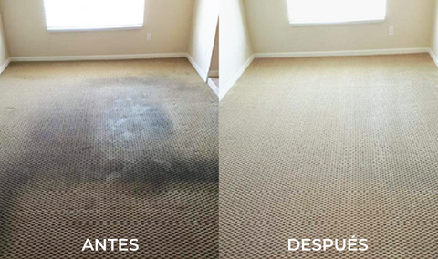 (2x1) ESPUMA LIMPIADORA DE MUEBLES Y ALFOMBRAS. - L0105