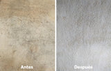 (2x1) ESPUMA LIMPIADORA DE MUEBLES Y ALFOMBRAS. - L0105