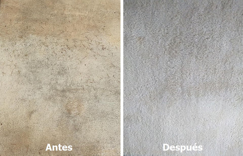 (2x1) ESPUMA LIMPIADORA DE MUEBLES Y ALFOMBRAS. - L0105