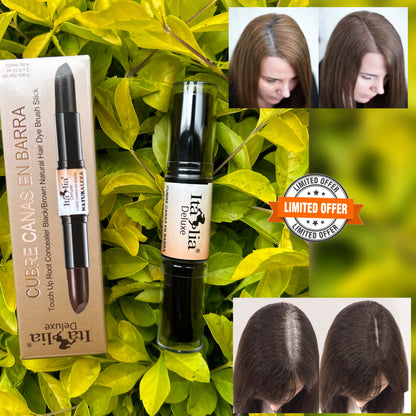 SHAMPOO DEXE CASTAÑO + GRATIS LÁPIZ CUBRE CANAS DOBLE COLOR
